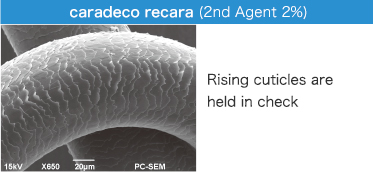 caradeco recara (2nd Agent 2%) Rising cuticles are held in check
