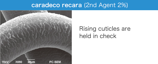 caradeco recara (2nd Agent 2%) Rising cuticles are held in check