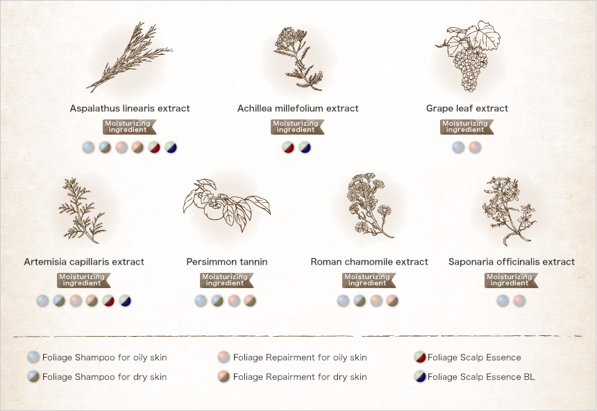 Flavonoids contained in FOLIAGE