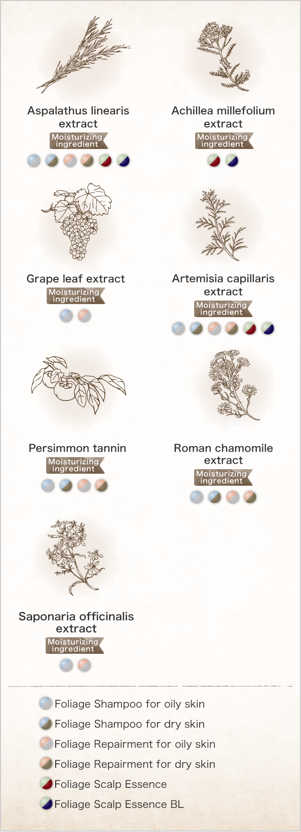 Flavonoids contained in FOLIAGE