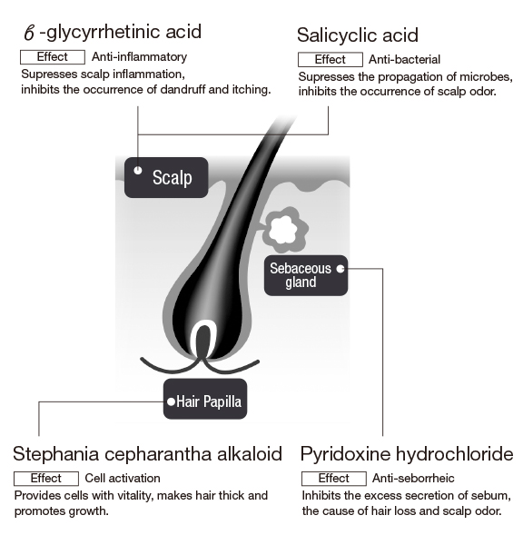 Noteworthy active ingredients