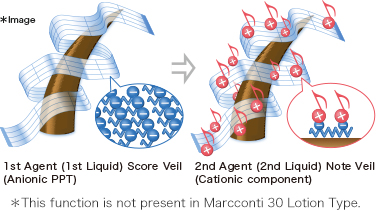 Melody Veil Mechanism