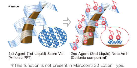 Melody Veil Mechanism