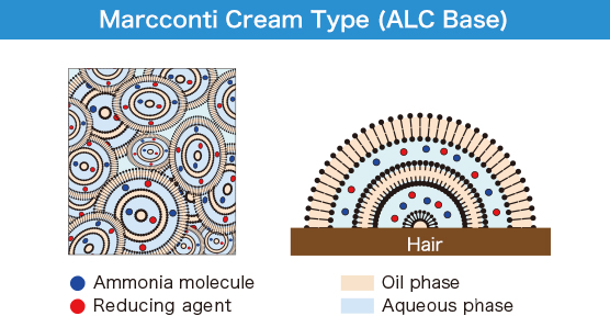 Marcconti Cream Type (ALC Base)