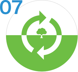 Products possessing high biodegradability