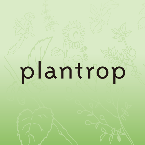 Plantrop